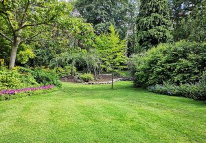 Optimiser l'expérience du jardin à Montbrun-Bocage